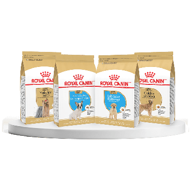 Win Royal Canin Pet Food